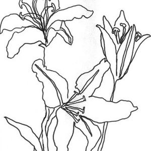 Meet your Posher, Indy